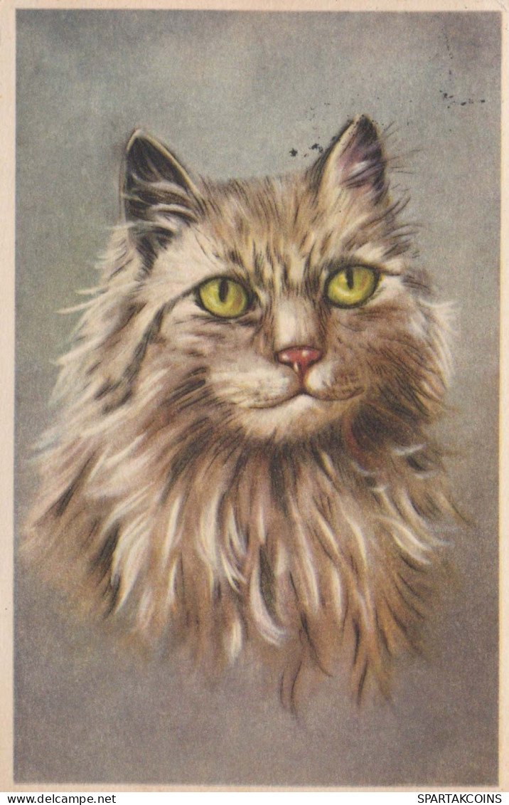 CAT Vintage Postcard CPSMPF #PKG911.GB - Gatos