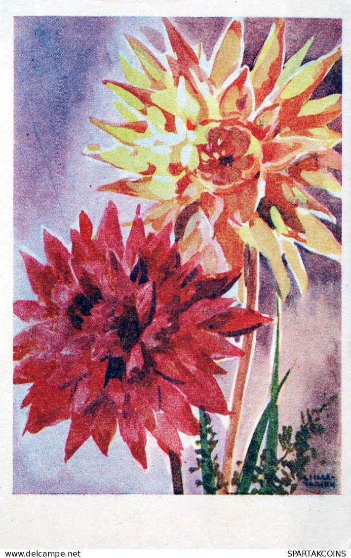 FLOWERS Vintage Postcard CPSMPF #PKG043.GB - Fleurs