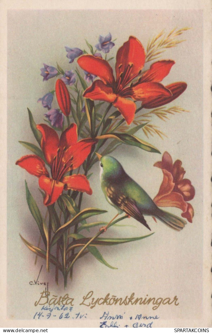 FLOWERS Vintage Postcard CPSMPF #PKG103.GB - Bloemen