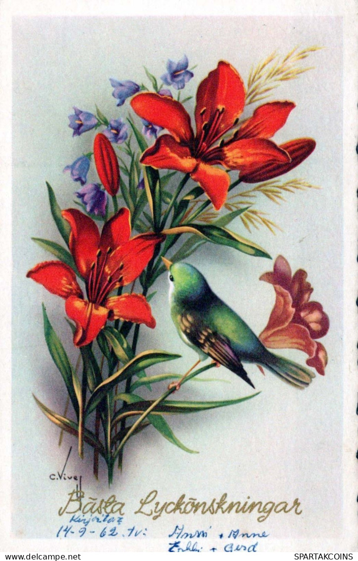 FLOWERS Vintage Postcard CPSMPF #PKG103.GB - Flowers