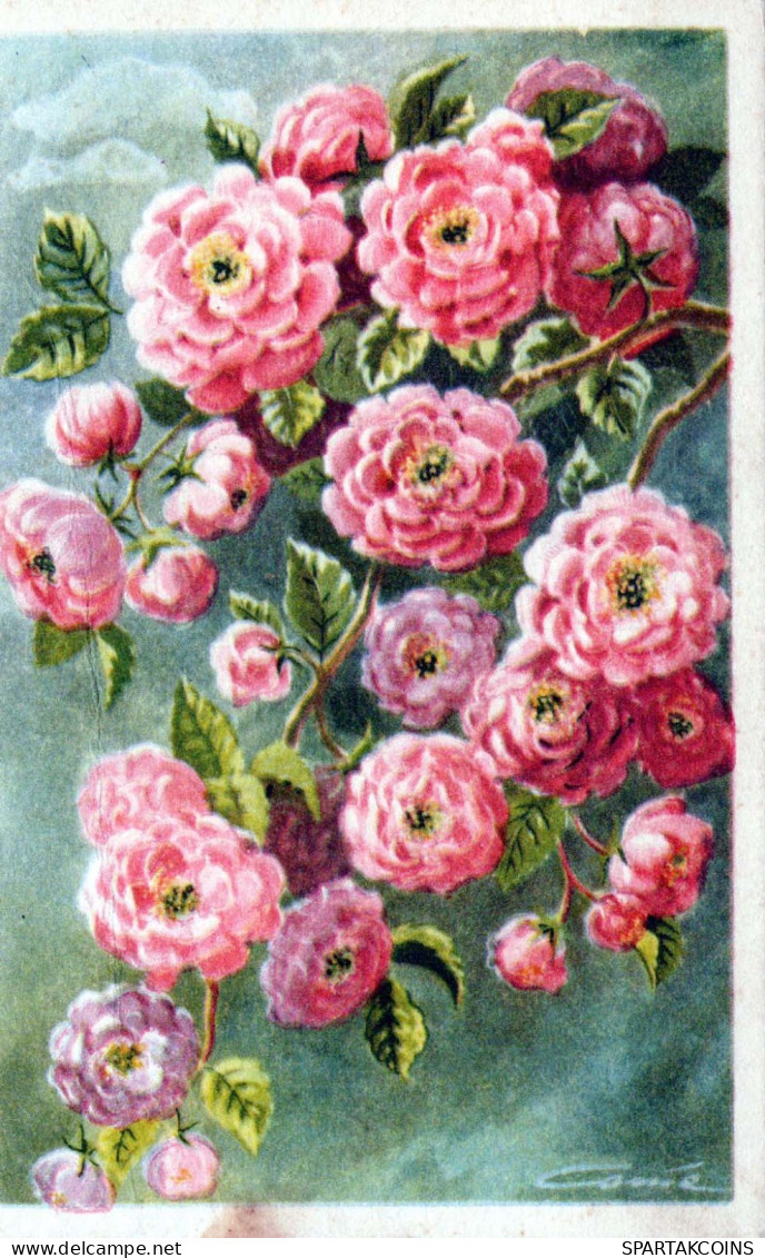 FLOWERS Vintage Postcard CPA #PKE499.GB - Flowers