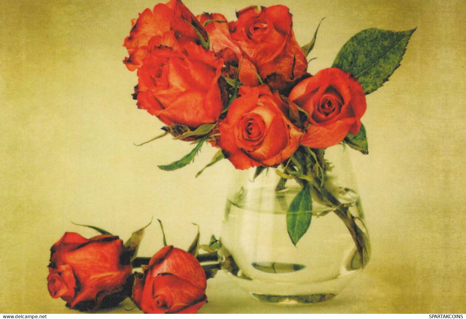 FLOWERS Vintage Postcard CPSM #PBZ929.GB - Flowers