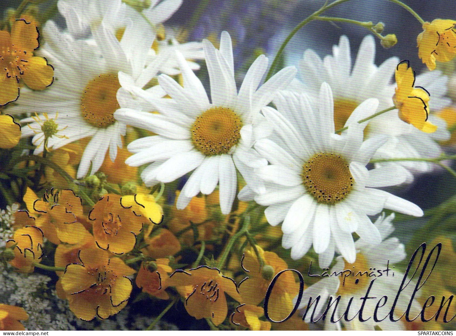 FLOWERS Vintage Postcard CPSM #PBZ265.GB - Blumen