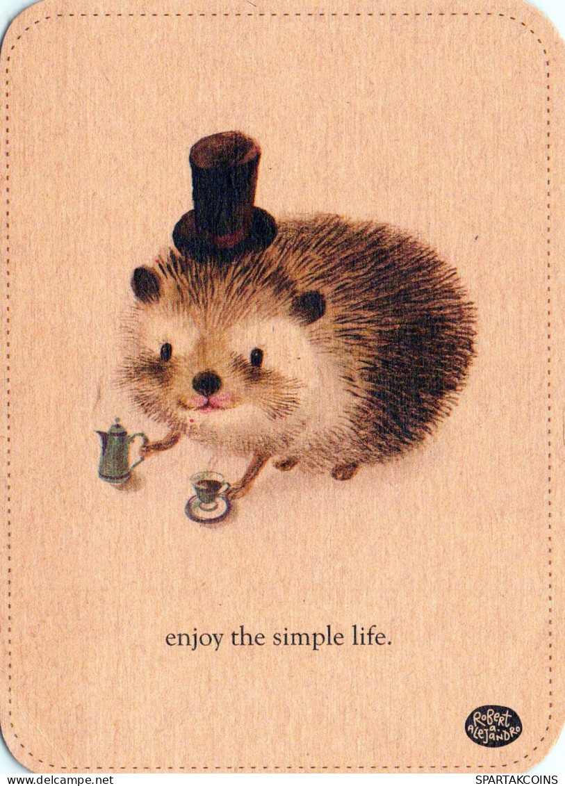 HEDGEHOG Animals Vintage Postcard CPSM #PBR229.GB - Altri & Non Classificati