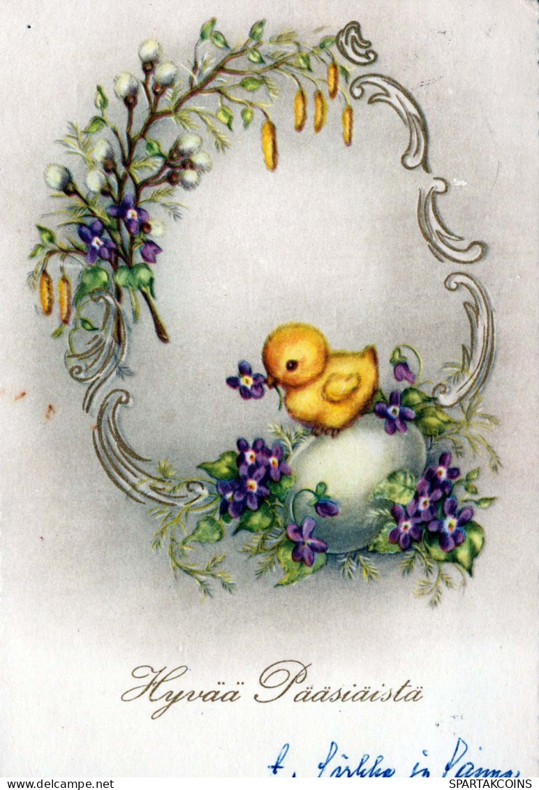 EASTER CHICKEN EGG Vintage Postcard CPSM #PBP051.GB - Easter