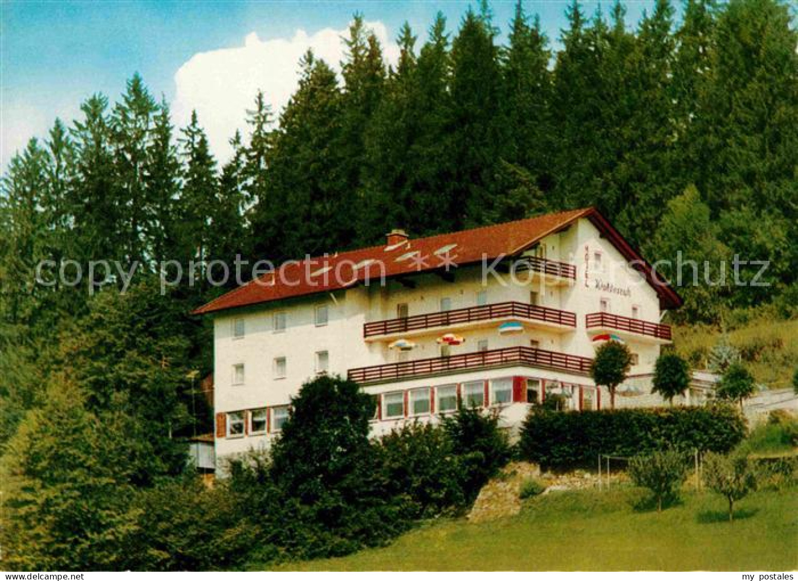 72717646 Bodenmais Hotel Waldesruh Bayerischer Wald Bodenmais - Bodenmais