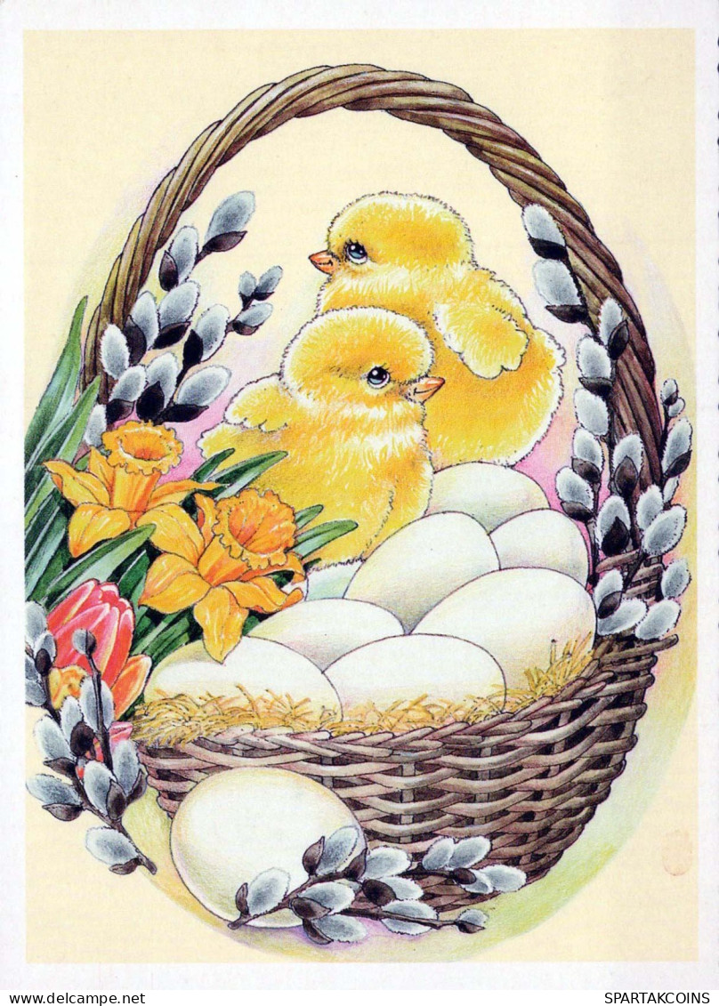 EASTER CHICKEN EGG Vintage Postcard CPSM #PBO733.GB - Pâques