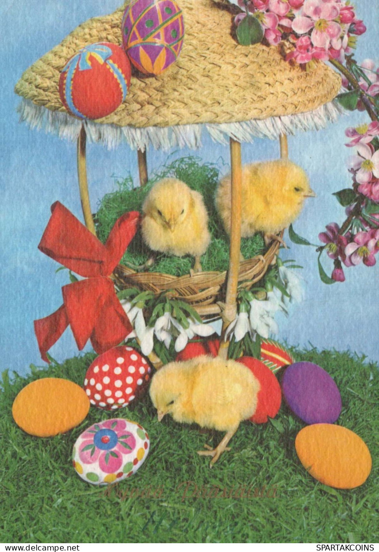 EASTER CHICKEN EGG Vintage Postcard CPSM #PBO609.GB - Ostern