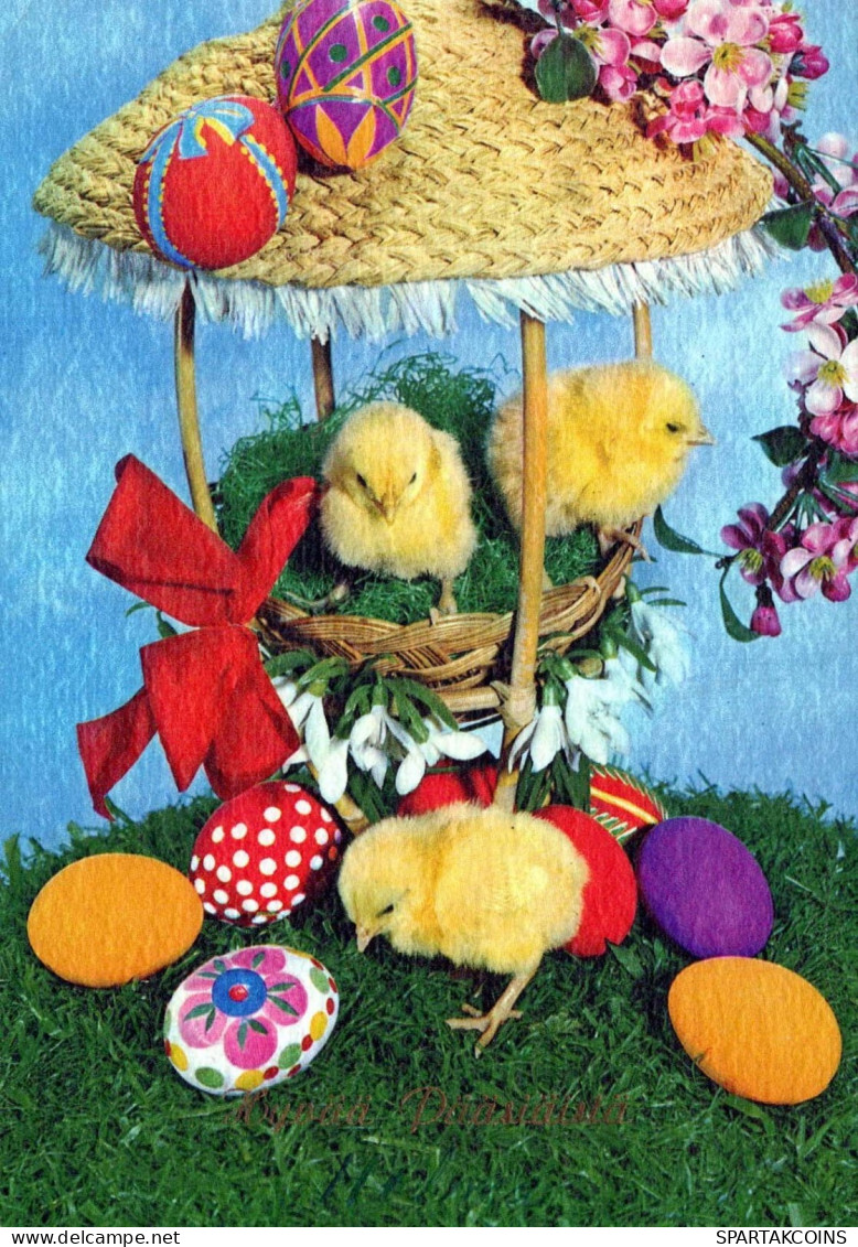 EASTER CHICKEN EGG Vintage Postcard CPSM #PBO609.GB - Ostern