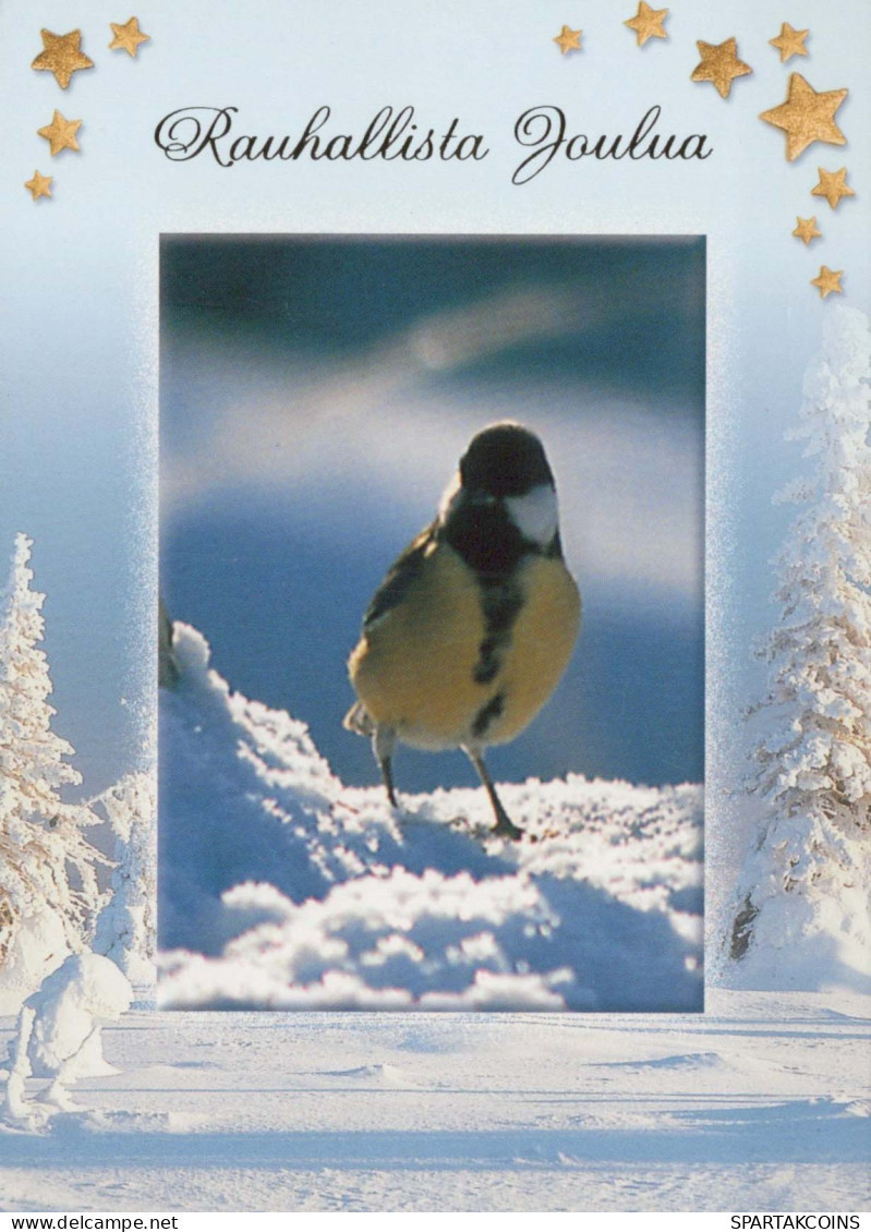 Happy New Year Christmas BIRD Vintage Postcard CPSM #PBM729.GB - Nieuwjaar
