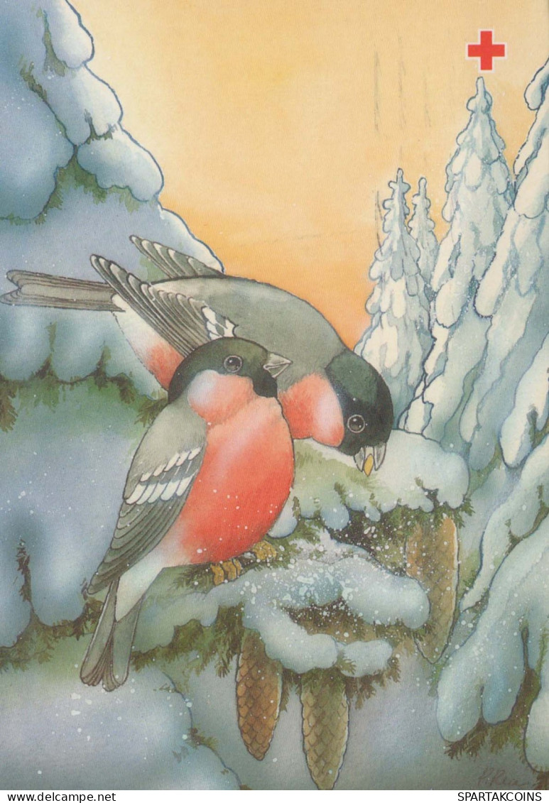 Happy New Year Christmas BIRD Vintage Postcard CPSM #PBM792.GB - Anno Nuovo