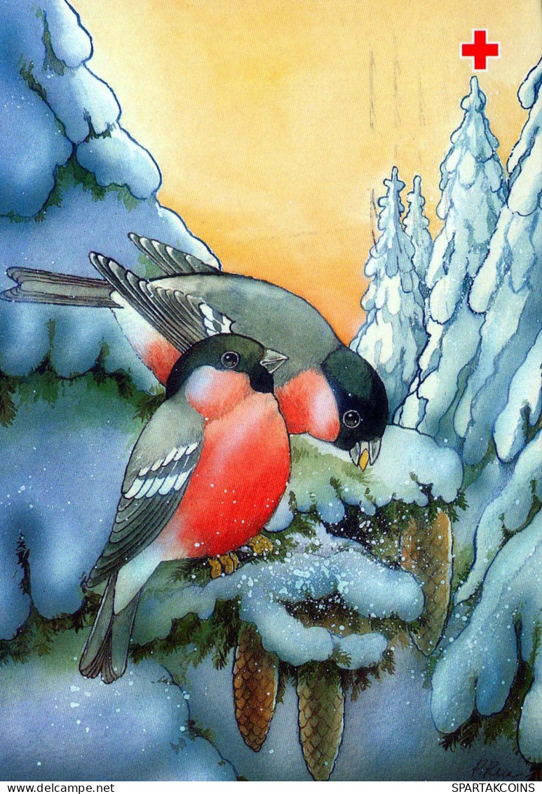 Happy New Year Christmas BIRD Vintage Postcard CPSM #PBM792.GB - Nouvel An