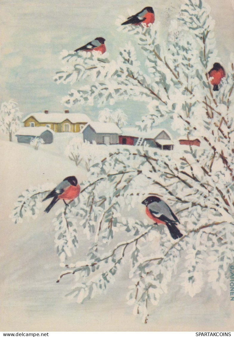 Happy New Year Christmas BIRD Vintage Postcard CPSM #PBM603.GB - Anno Nuovo