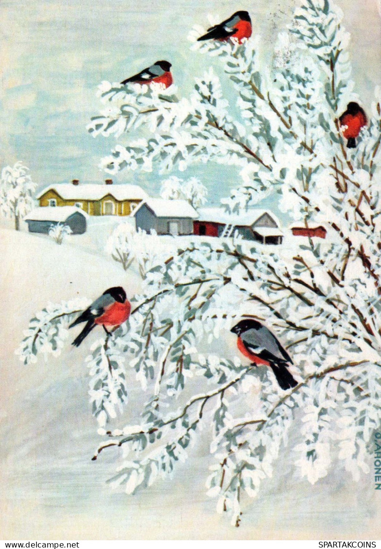 Happy New Year Christmas BIRD Vintage Postcard CPSM #PBM603.GB - Nouvel An