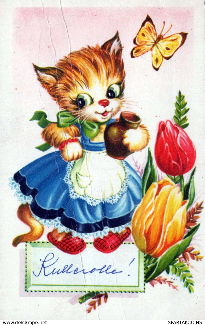 GATTO KITTY Animale Vintage Cartolina CPA #PKE745.IT - Gatos