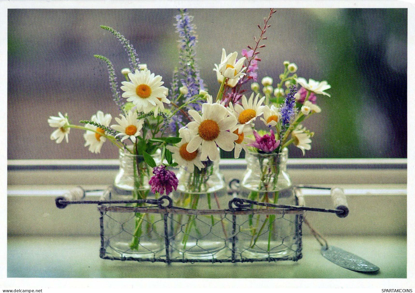 FIORI Vintage Cartolina CPSM #PBZ028.IT - Flowers