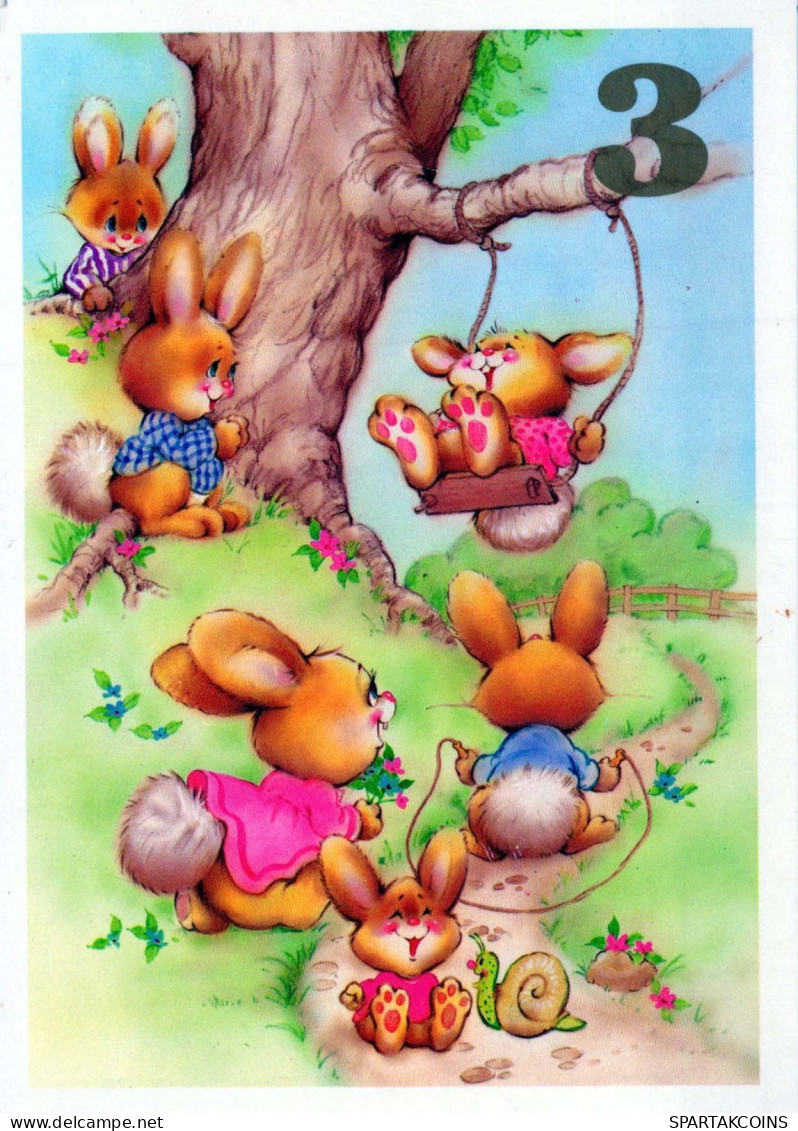 CONIGLIO Animale Vintage Cartolina CPSM #PBR099.IT - Sonstige & Ohne Zuordnung