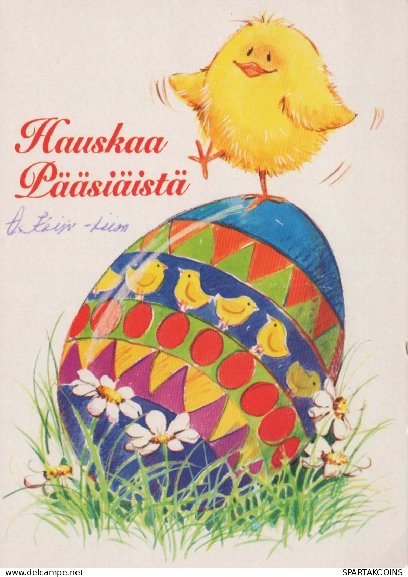 PASQUA POLLO UOVO Vintage Cartolina CPSM #PBP055.IT - Easter