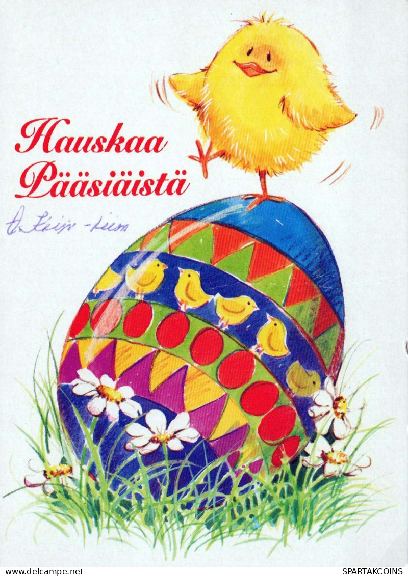 PASQUA POLLO UOVO Vintage Cartolina CPSM #PBP055.IT - Pasen
