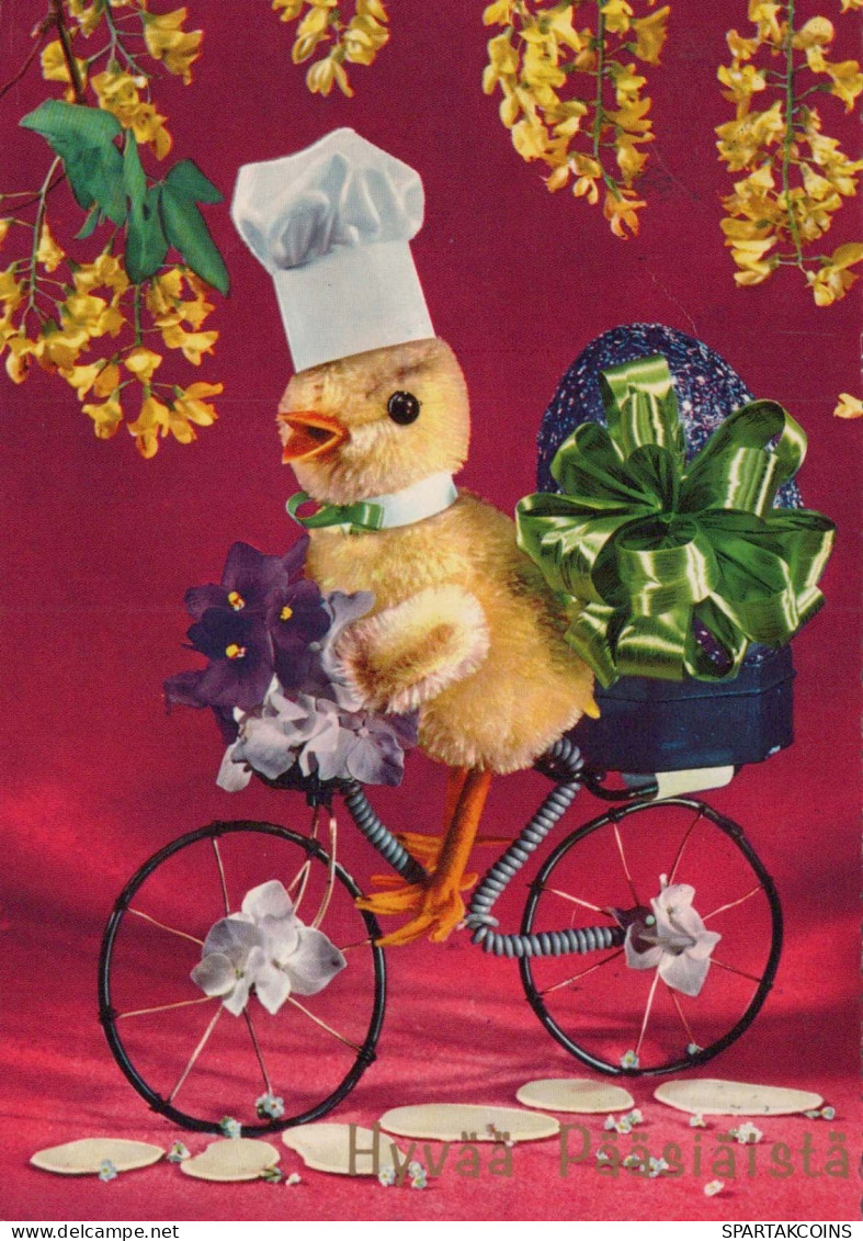 PASQUA POLLO UOVO Vintage Cartolina CPSM #PBP177.IT - Easter