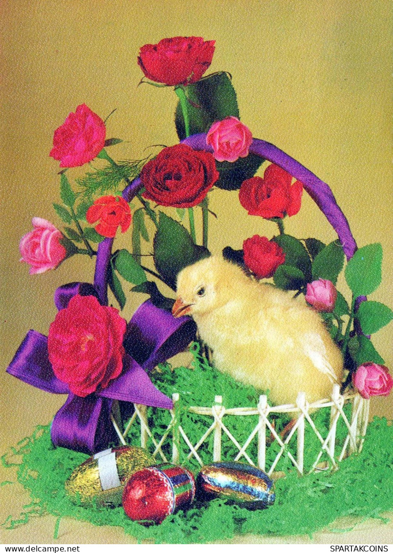 PASQUA POLLO UOVO Vintage Cartolina CPSM #PBP116.IT - Easter