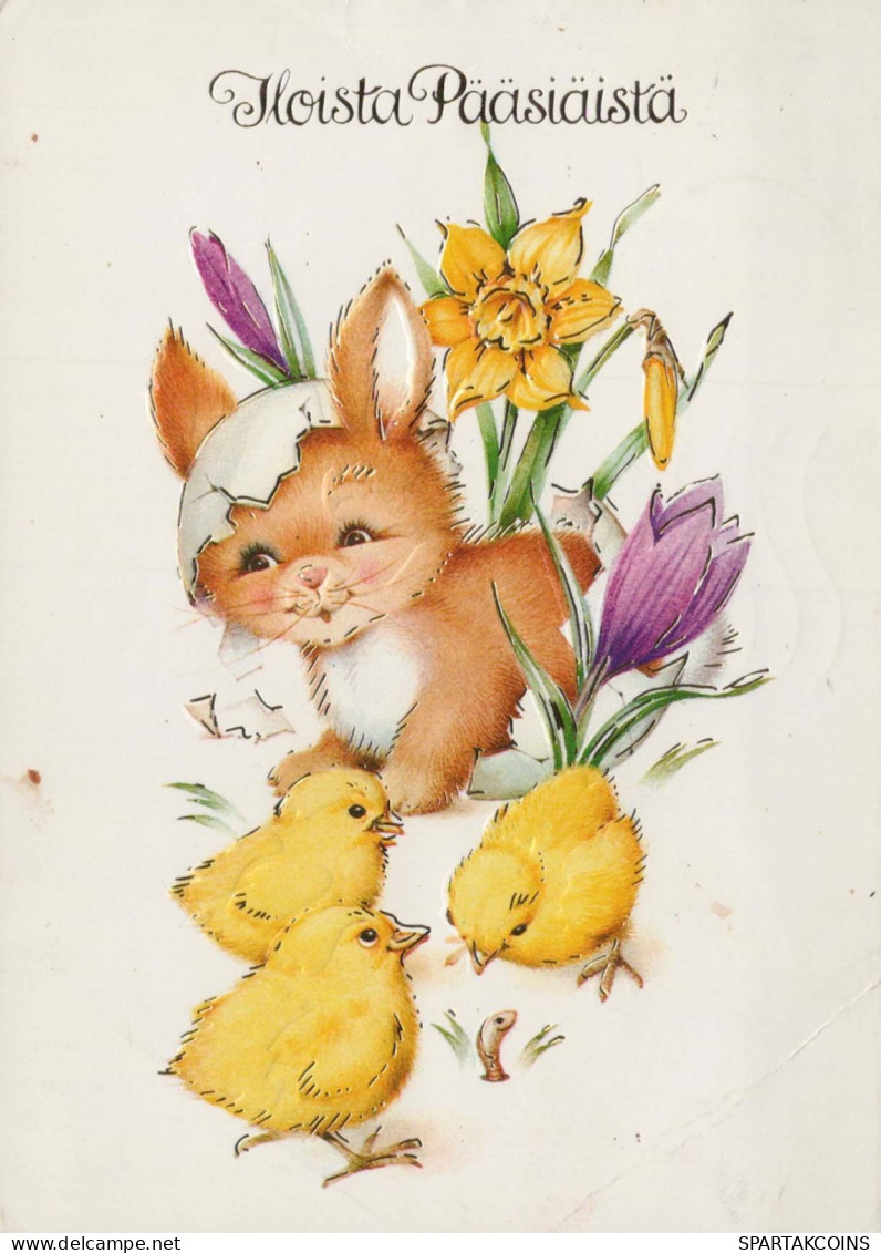 PASQUA POLLO UOVO Vintage Cartolina CPSM #PBO613.IT - Easter