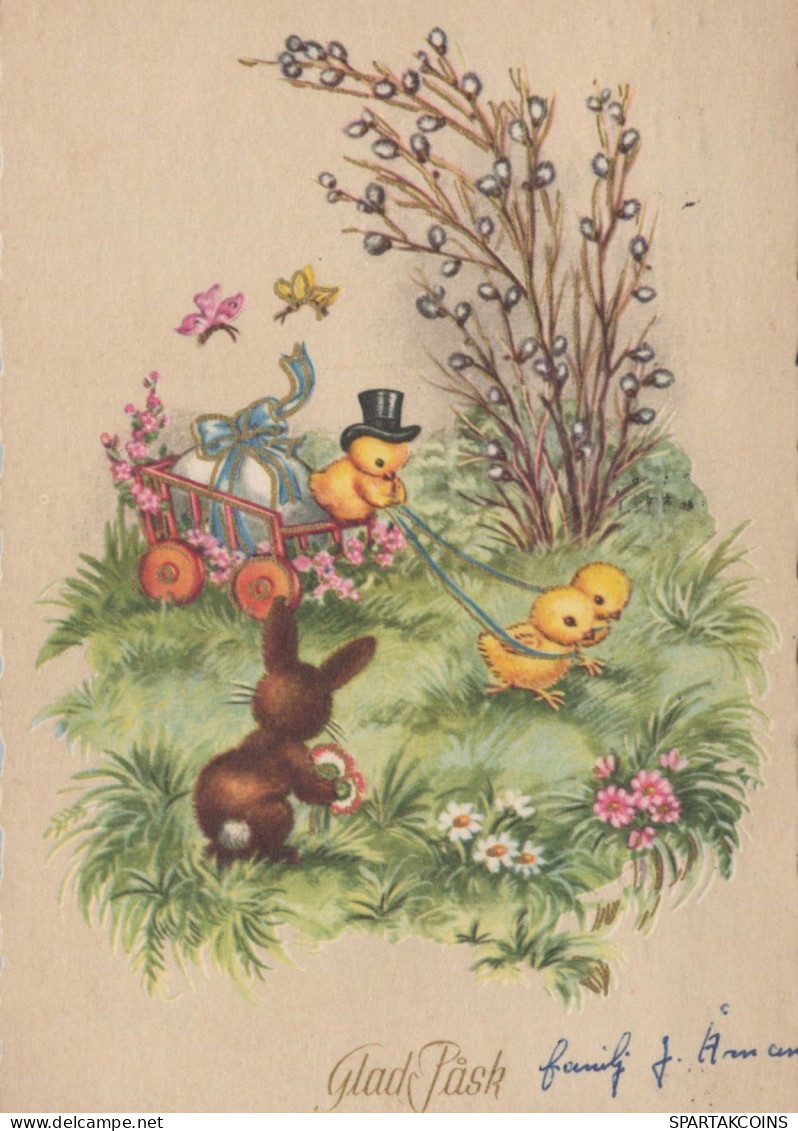 PASQUA POLLO UOVO Vintage Cartolina CPSM #PBO800.IT - Ostern