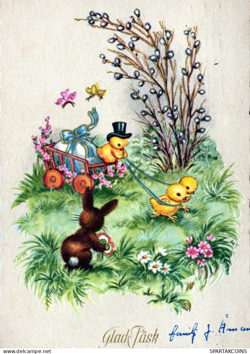 PASQUA POLLO UOVO Vintage Cartolina CPSM #PBO800.IT - Easter