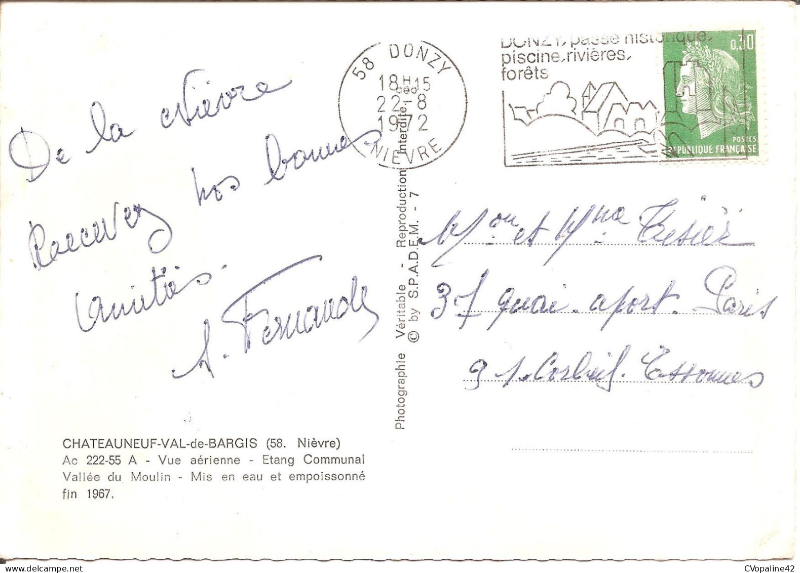 CHATEAUNEUF-VAL-de-BARGIS (58) Vue Aérienne - Etang Communal - Vallée Du Moulin En 1972  CPSM GF - Andere & Zonder Classificatie