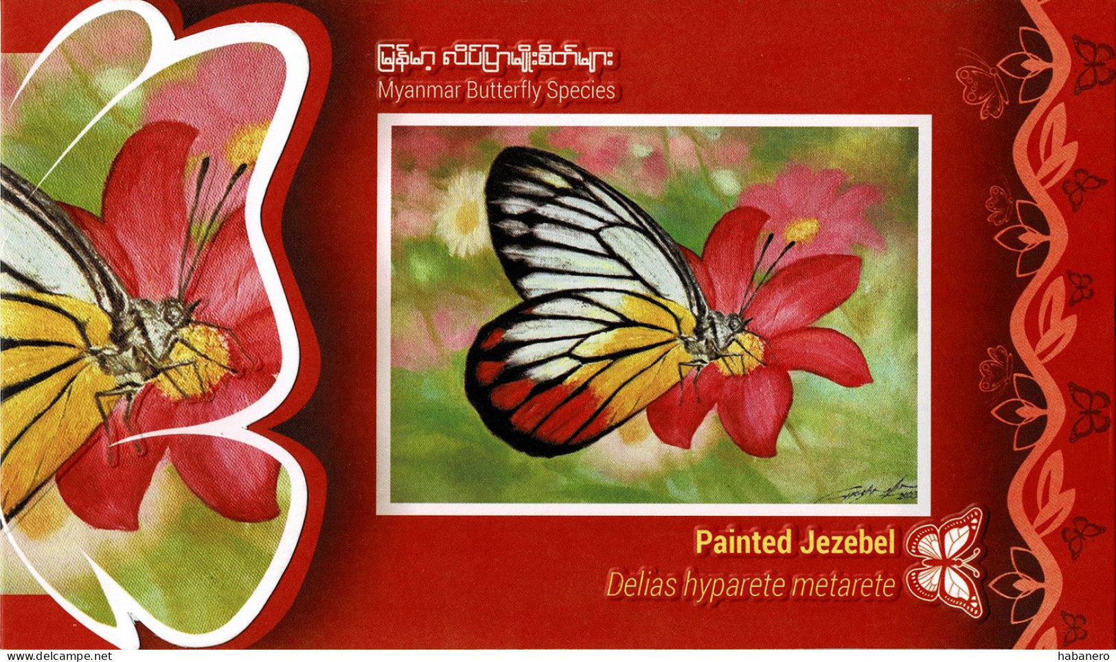 MYANMAR 2024 PAINTED JEZEBEL BUTTERFLY PRESENTATION FOLDER - Myanmar (Burma 1948-...)