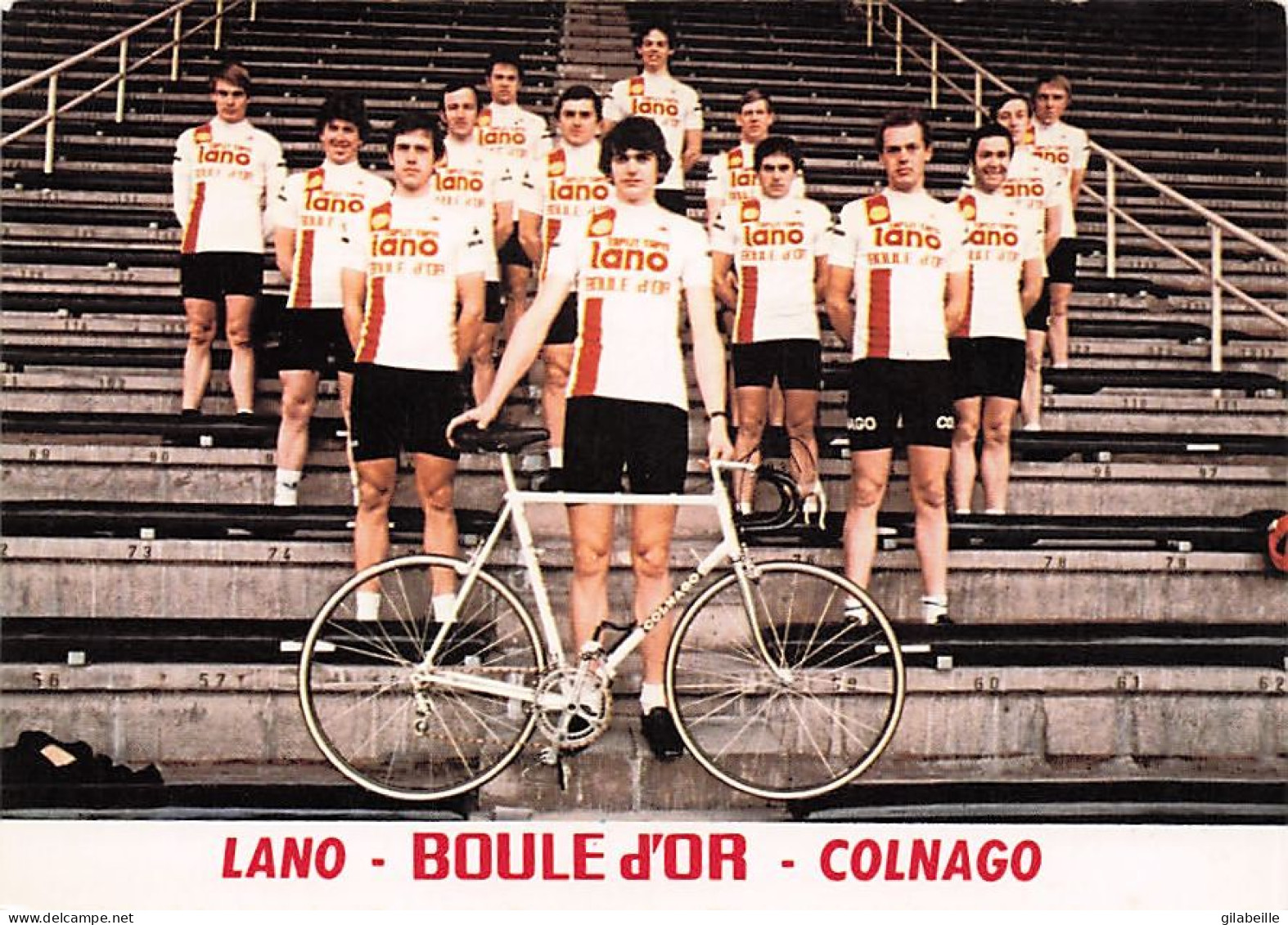 Velo - Cyclisme - Equipe   Cycliste Belge  - Team Boule D'Or  - 1979- Leader Fons De Wolf - Ciclismo