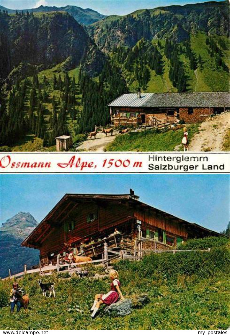 72715935 Hinterglemm Saalbach Ossmann Alpe Ausflugsziel Allgaeuer Alpen Wandern  - Altri & Non Classificati