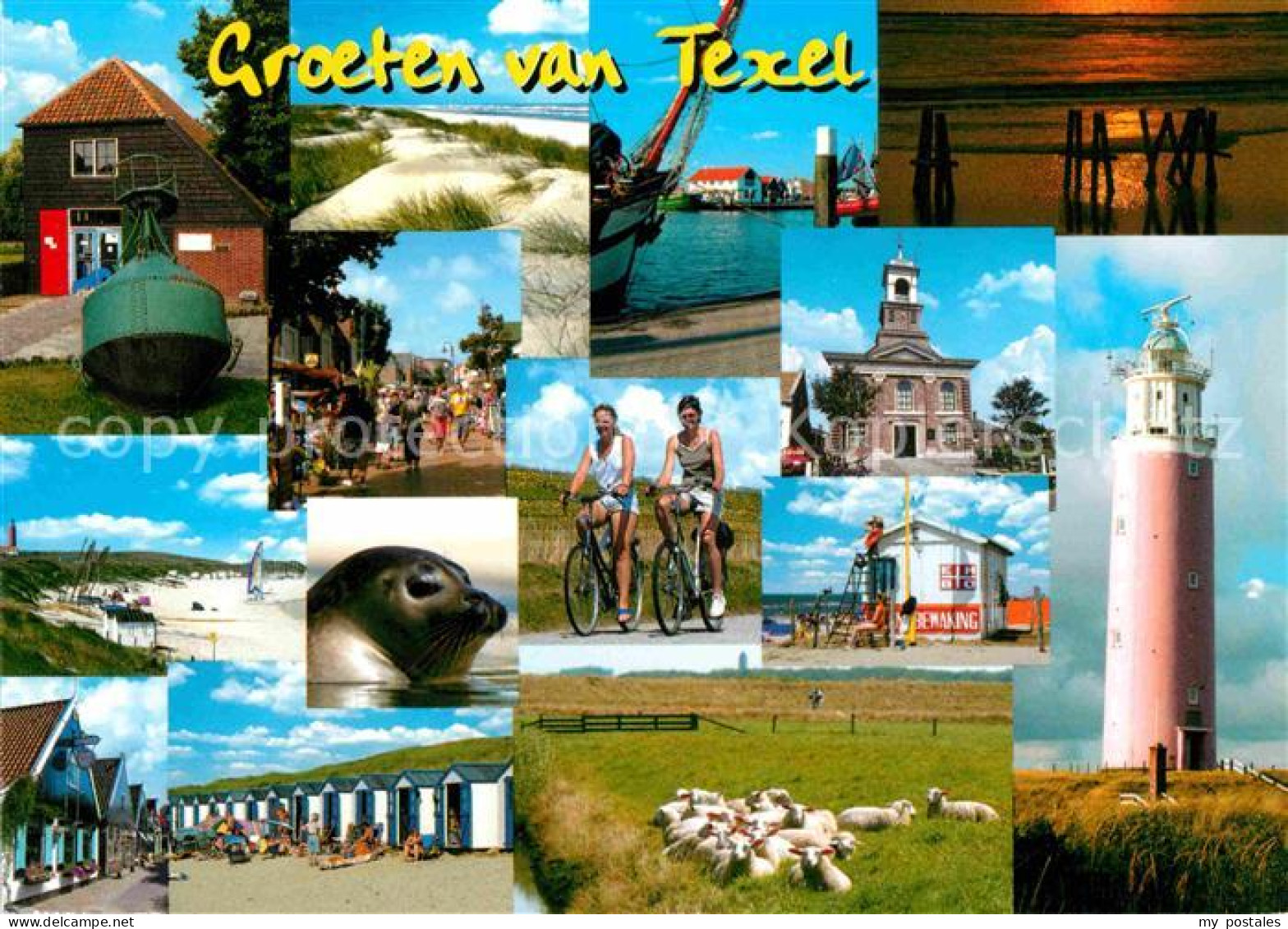 72715791 Texel Strandhuetten Leuchtturm Seehund Schafherde  - Andere & Zonder Classificatie