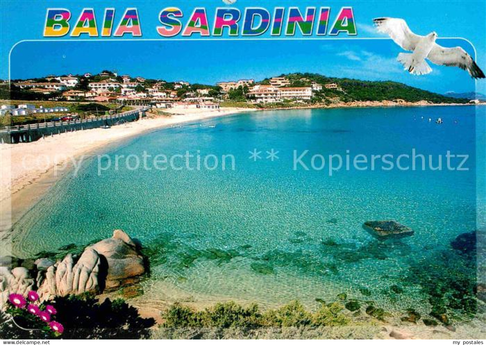 72715775 Sardegna Strand Moewe Sardegna - Other & Unclassified
