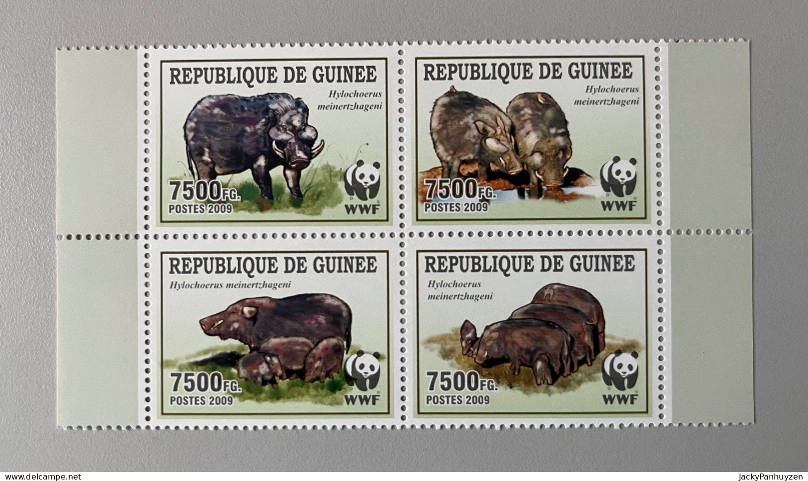 WWF 2009 : GUINEE REP. - Wild Pigs -  MNH ** - Ongebruikt