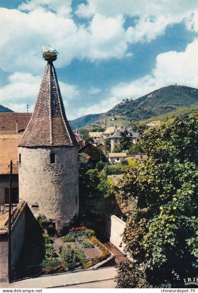 Ribeauville Alsace La Tour Des Cigognes Vestige Des Anciens Remparts - Ribeauvillé