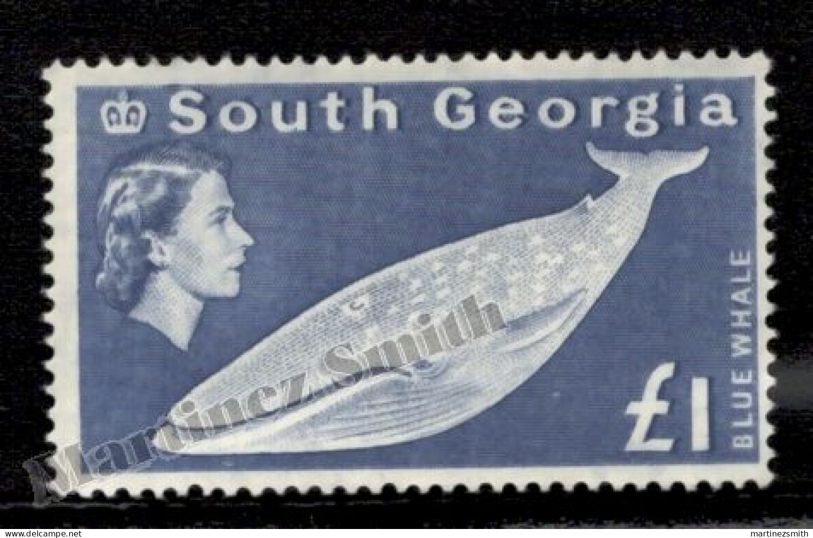 Falkland South Georgia 1963-69 Yvert 23, Queen Elizabeth II, Fauna, Blue Whale 1 Pound - Single Value - MNH - Sonstige & Ohne Zuordnung