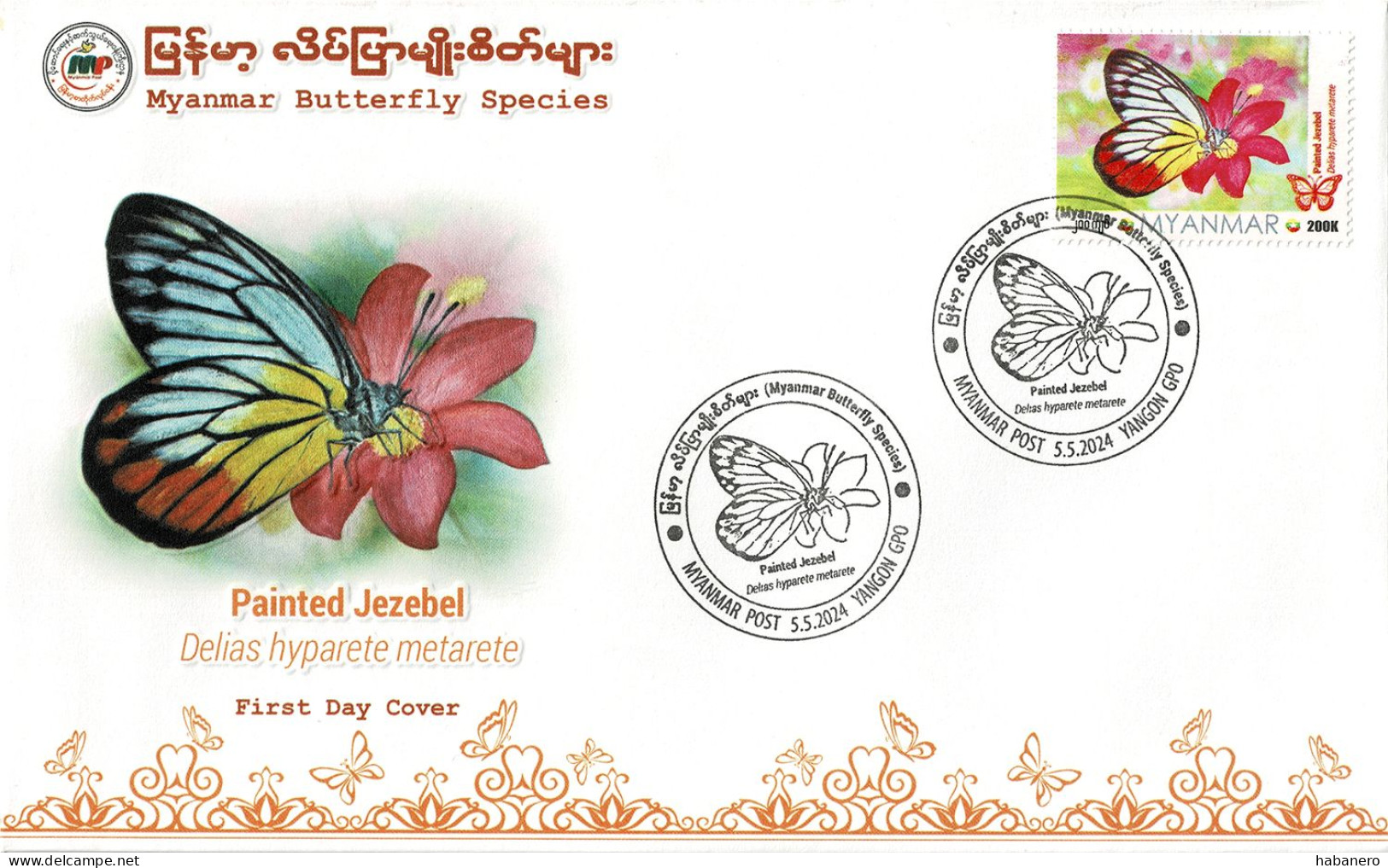 MYANMAR 2024 PAINTED JEZEBEL BUTTERFLY FDC - Papillons