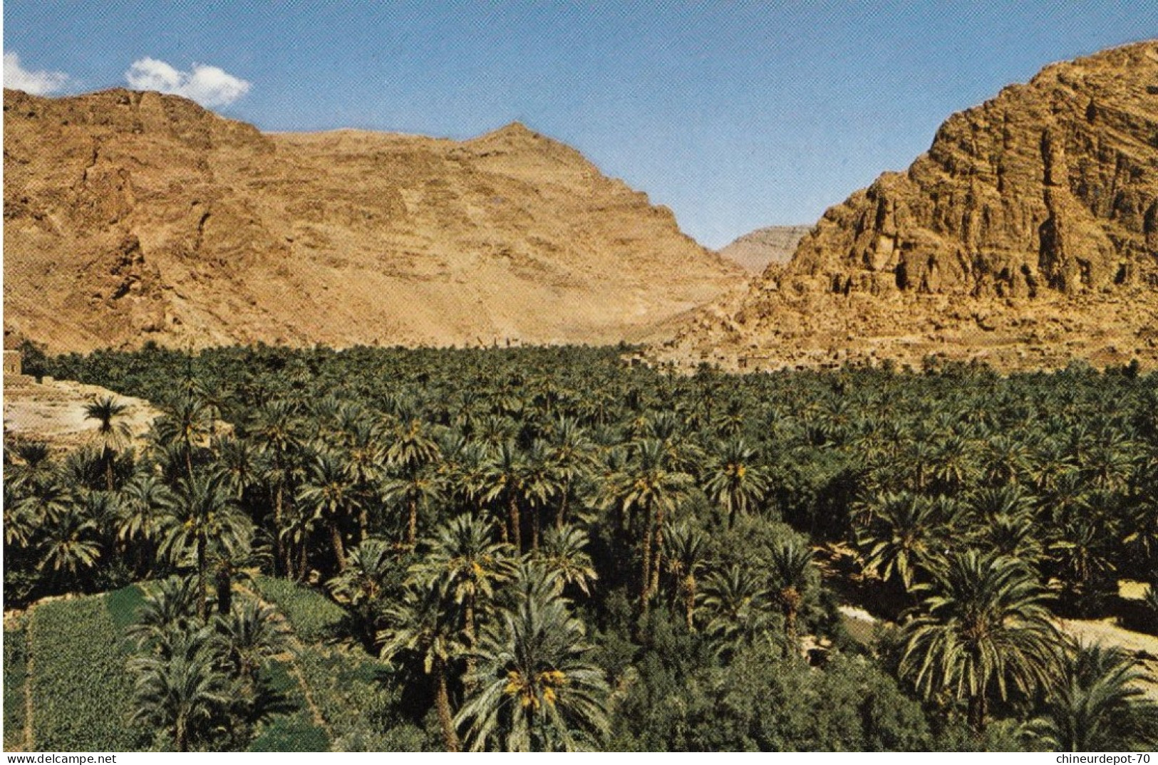 Maroc Pittoresque Tinerhir Gorges Du Todra - Andere & Zonder Classificatie