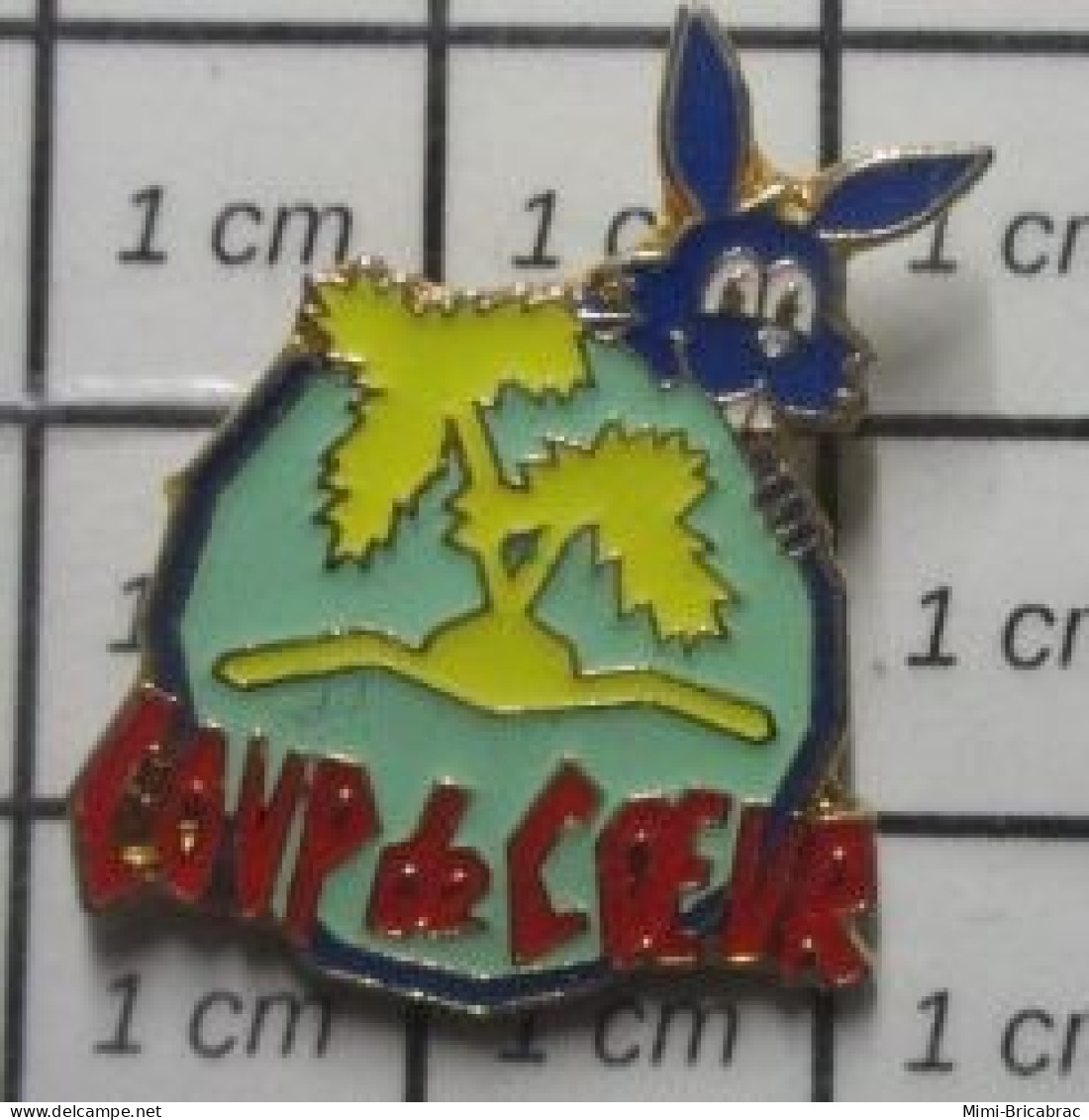 912c Pin's Pins / Beau Et Rare / THEME : MARQUES / COUP DE COEUR LAPIN GLOBE TERRESTRE - Trademarks