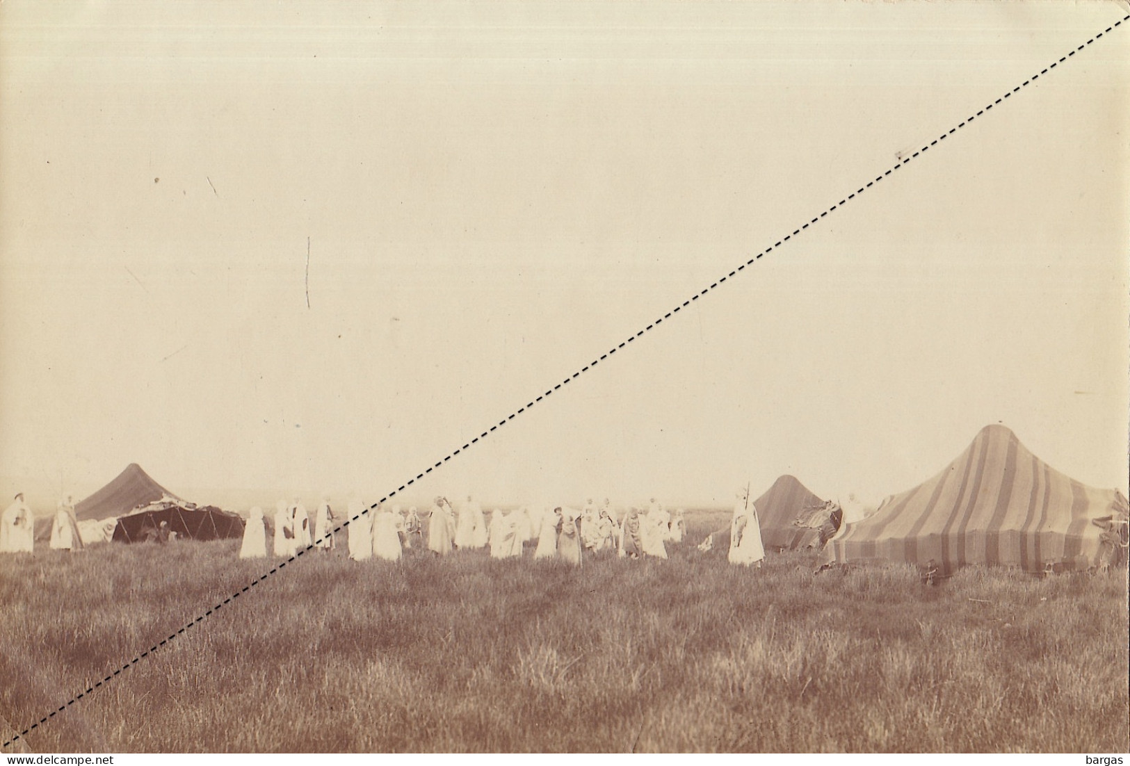 Photo Format Carte Postale Algérie Afrique Grande Camp Tente Nomade Dans Le Bled - Chéria - Africa