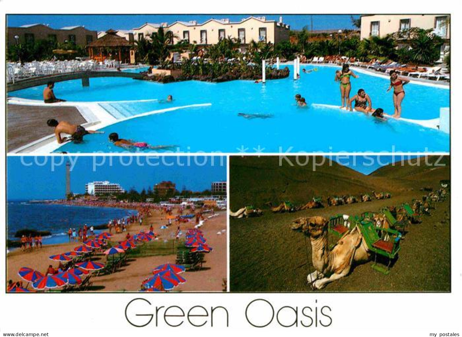 72715496 Maspalomas Bungalows Green Oasis Swimming Pool Strand Kamele Gran Canar - Sonstige & Ohne Zuordnung