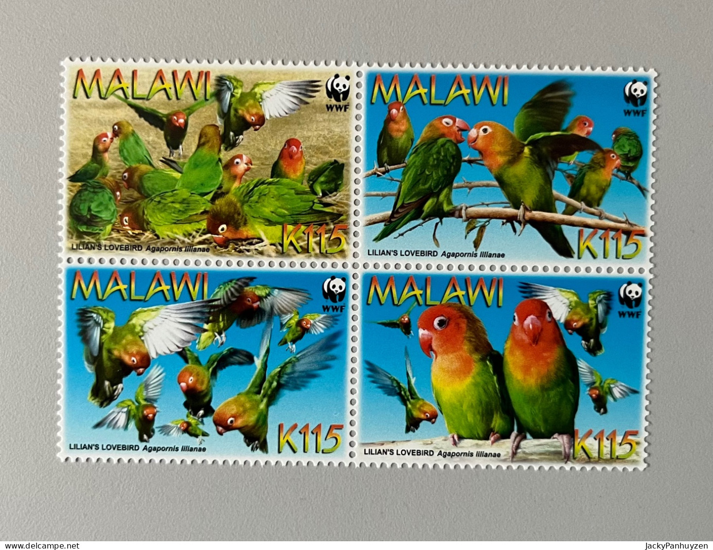 WWF 2009 : MALAWI - Parrots -  MNH ** - Ongebruikt