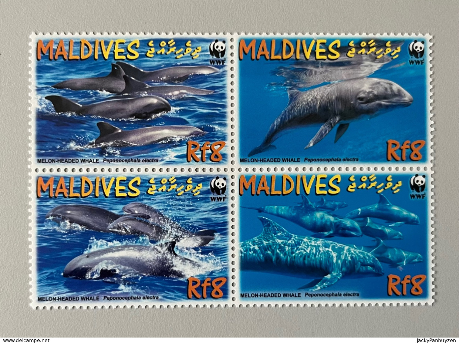 WWF 2009 : MALDIVES - Whales -  MNH ** - Nuevos