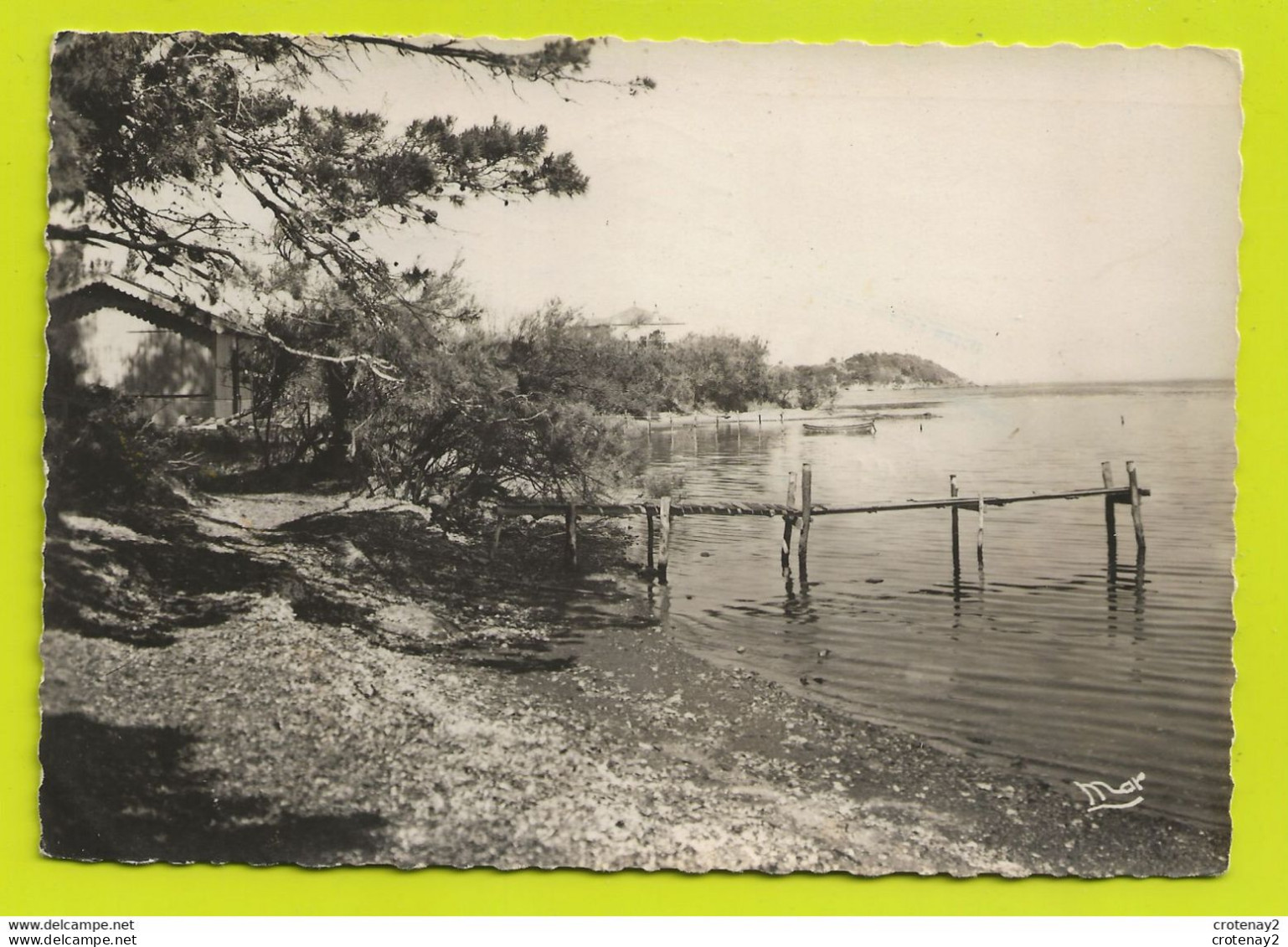 83 PRESQU'ILE DE GIENS Vers Hyères N°2139 Quartier Des Barques Bar Bimbeloterie Parfumerie VOIR DOS En 1955 - Hyeres