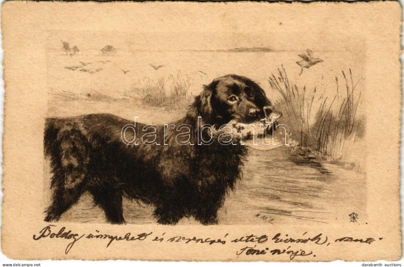 T2/T3 1900 Hunting Dog Art Postcard (fl) - Unclassified