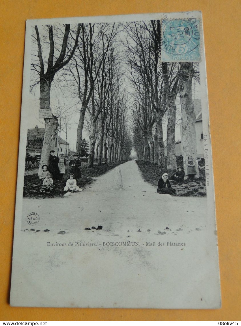 BOISCOMMUN -- Mail Des Platanes - Cpa "précurseur" 1906 - ANIMEE - Altri & Non Classificati