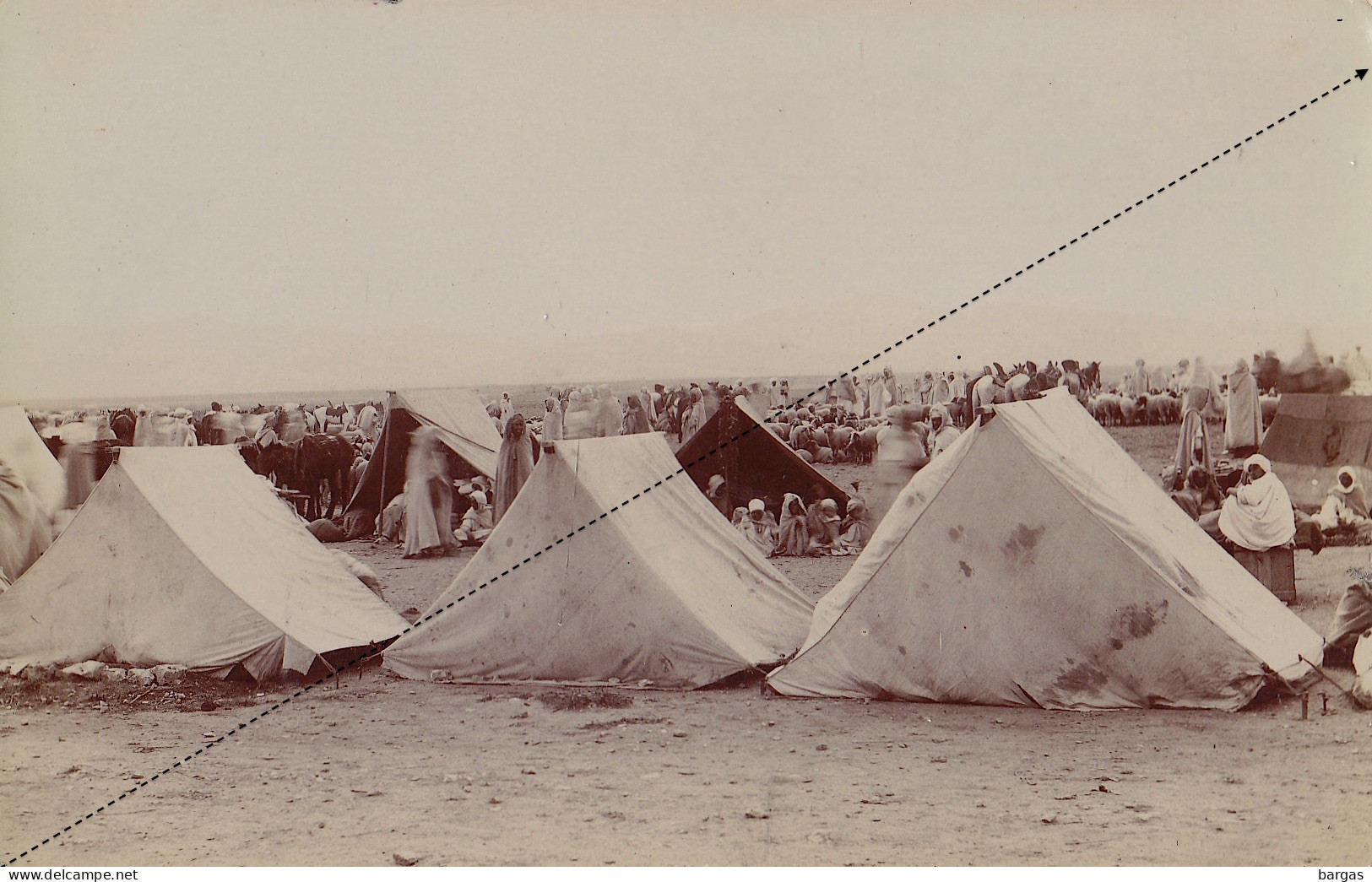 Photo Carte Postale Algérie Afrique Camp Marché Nomade Dans Le Cercle Indigène De Tebessa - Afrique