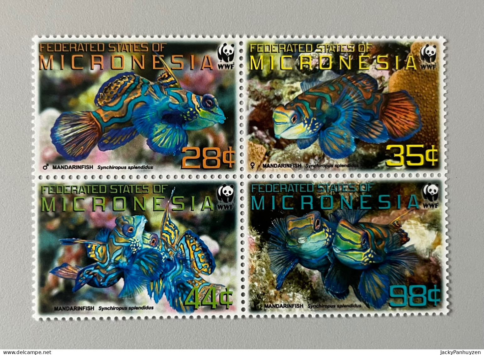 WWF 2009 : MICRONESIA - Fish -  MNH ** - Unused Stamps