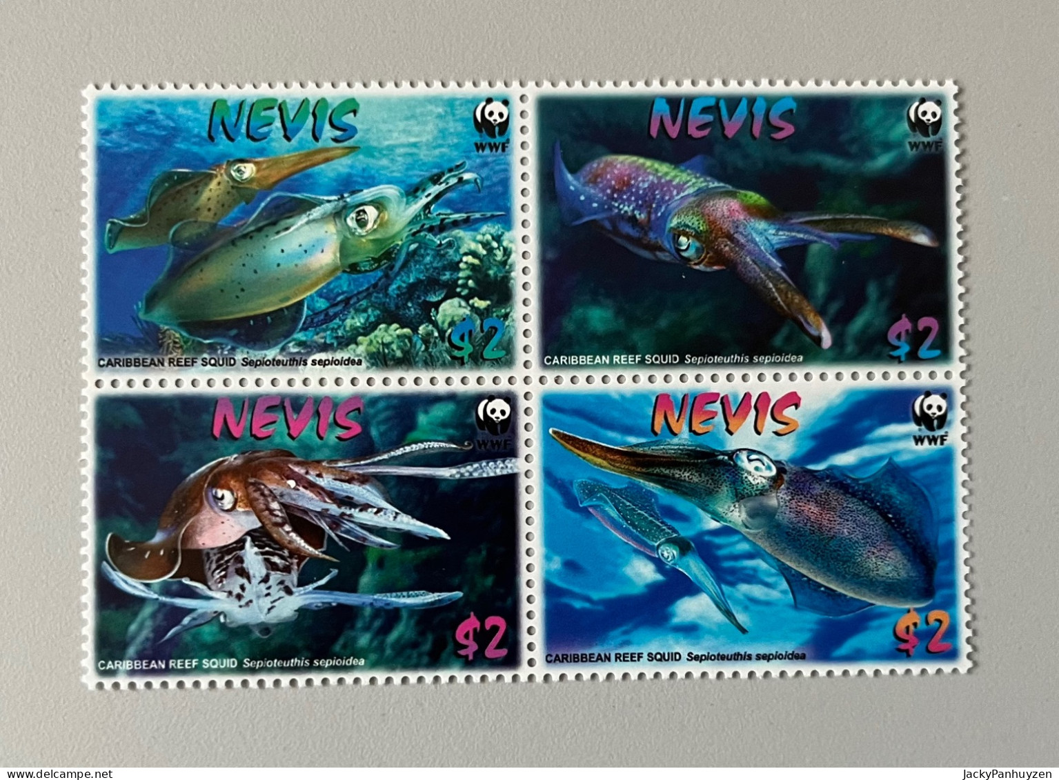 WWF 2009 : NEVIS - Reef Squid -  MNH ** - Nuevos